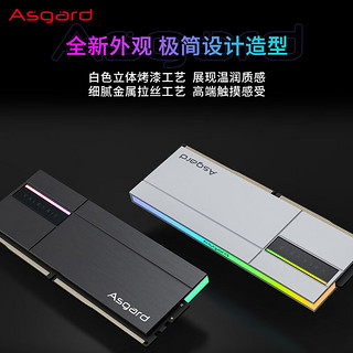 Asgard 阿斯加特 48GB(24Gx2)套 DDR5 6800 台式机内存条 RGB灯条-女武神·瓦尔基里Ⅱ代极夜黑
