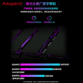 Asgard 阿斯加特 48GB(24Gx2)套 DDR5 6800 台式机内存条 RGB灯条-女武神·瓦尔基里Ⅱ代极夜黑