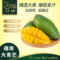 佳宝臣 VEYBOUSON越南大青芒9斤装一级果非电商果新鲜水果整箱芒果青皮芒 越南 大青芒9斤单果1斤以上