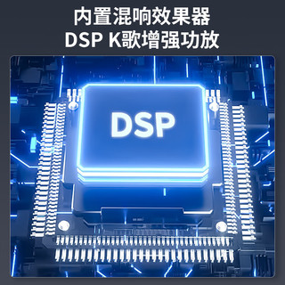 PHILIPS 飞利浦 音响功放一体机便携户外家庭卡拉ok一体机家用k歌蓝牙音箱SD239