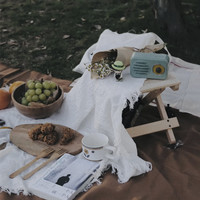 春日野餐 野餐垫防潮垫野餐布户外露营白色毯子沙滩垫帐篷地垫法式海边拍照
