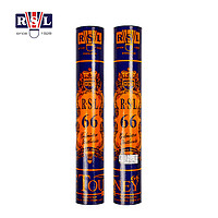 AANGIOUN 亚狮龙 训练比赛用球 飞行稳定耐打 RSL66号 羽毛球（1桶装） 66球单筒装