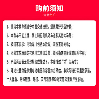 乐菱两轮电动平衡车巡逻车物业保安执勤19寸大巡逻【96型】经典黑