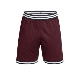 underarmour安德玛官方ua秋冬库里curry男子网眼篮球运动短裤1380331