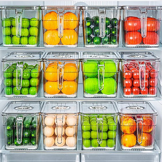 家の物语（KATEI STORY）大容量冰箱收纳盒食品级厨房蔬菜保鲜盒冷冻水果盒鸡蛋密封储物盒 透明绿实惠装 4件套 5L