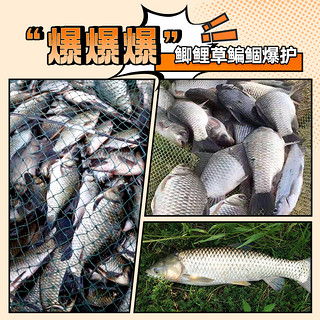 Yuzhiyuan 渔之源 早晚爆护饵料水解蚯蚓蛋白鱼饵野钓鲫鲤鱼鲢鳙鱼食打窝料