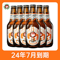 Hitachino Nest 常陆野猫头鹰 IPA精酿啤酒 330mL*6瓶