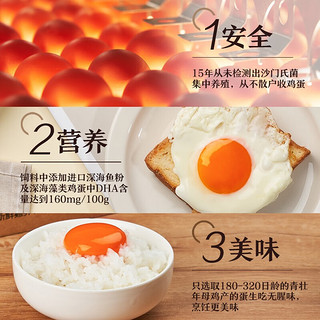 兰皇可生食无菌蛋新鲜鸡蛋生吃可食用溏心蛋日本温泉蛋日料 10枚