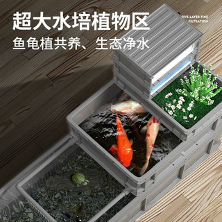 CRAZY PLANT乌龟缸特大号生态缸周转箱养龟别墅乌龟饲养箱鱼龟混养殖箱 60CM（箱体+滤材+水泵+杀菌灯）