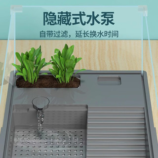 CRAZY PLANT乌龟缸特大号生态缸周转箱养龟别墅乌龟饲养箱鱼龟混养殖箱 【店庆福利款】玻璃缸-图二规格