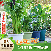 IRIS 爱丽思 花盆塑料圆形树脂多肉花盆种花种菜盆绿萝爱丽丝 白色口径23.7cm