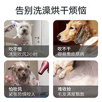 VOA 宠物烘干袋狗狗金毛洗澡中大型犬家用全自动吹毛烘干箱神器吹风机