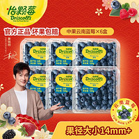 怡颗莓 当季云南蓝莓 国产蓝莓 125g*6盒
