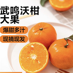 广西武鸣沃柑纯甜无酸老树现摘橘子当季桔子新鲜水果包邮