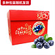 Mr.Seafood 京鲜生 云南蓝莓 巨无霸22mm+ 12盒礼盒装 约125g/盒 新鲜水果礼盒