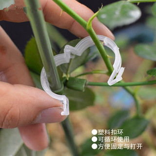 浩胜   固定扣环藤本植物卡扣固定环番茄黄瓜月季铁线莲爬藤植物固定 环扣 100个