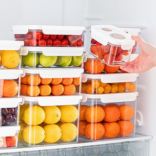 家の物语（KATEI STORY）高透明水果盒冰箱收纳盒分格便当盒外出携带小保鲜盒食品级 真空收纳盒大号3.4L(一个装）