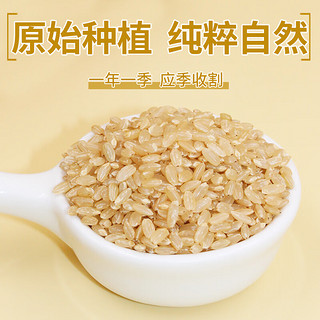 沐谷精选东北糙米2kg（五谷杂粮粗粮胚芽米糙米饭大米伴侣粗粮4斤装） 精品糙米2kg（4斤）