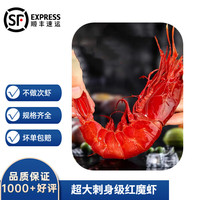 沢素湾 深海红魔虾 刺身红魔虾鲜活 船冻远洋海捕 绯红虾胭脂虾红虾 500g（尝鲜） 超大5-7只/斤（23-25cm）