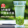 2024新茶-乐品乐茶碧螺春明前特级绿茶125g*2自己喝罐装