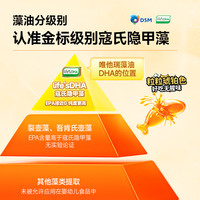【体验】唯他瑞帝斯曼小琥珀dha婴幼儿藻油软胶囊儿童dha