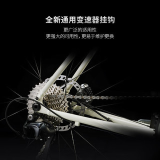 公路车 DOMANE AL 4 碳纤维前叉碟刹长