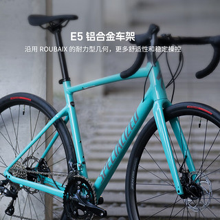 SPECIALIZED闪电 ALLEZ E5 DISC 前叉碟刹制动成人骑行公路自行车 