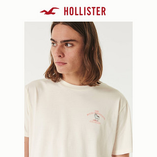 HOLLISTER 霍利斯特 男士T恤