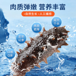 鱻谣 大连即食海参500g*2