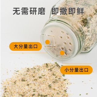 大厨强 意面欧芹碎大蒜盐调味料 110g  1瓶