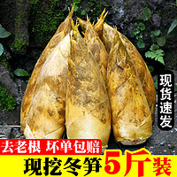 佳宝臣 VEYBOUSON 新鲜冬笋竹笋现挖 净重5斤装