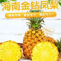 自然搭档 海南金钻凤梨 新鲜热带水果 4.5-5斤装（2-3个）