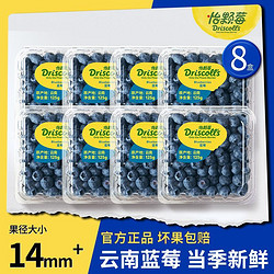DRISCOLL'S/怡颗莓 怡颗莓云南蓝莓125g*8盒当季限量新鲜水果孕妇宝宝辅食果径14mm+
