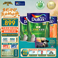 多乐士（Dulux）致悦竹炭抗甲醛乳胶漆 功夫熊猫4电影限量联名礼盒 A740套装15L