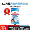 ROYAL CANIN 皇家 狗狗零食