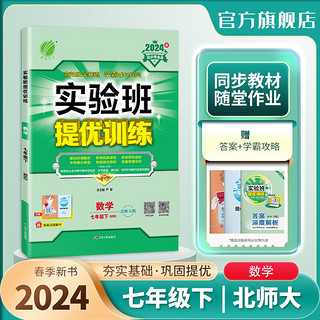 实验班提优训练 初中数学 七年级下册 北师大版BSD 课时同步强化练习拔高特训 2024年春