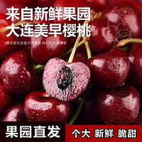 花音谷 当季爆品 美早大樱桃 1.5kg 果王 单果32-34mm +顺丰空运