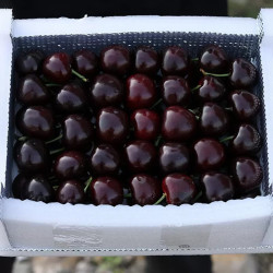 【省190元】鑫多多车厘子/樱桃_今日福利!