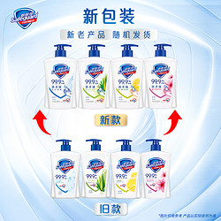 Safeguard 舒肤佳 健康抑菌洗手液套装