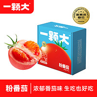 一颗大 ™ 生吃沙瓤有籽自然成熟粉番茄 550g *4盒