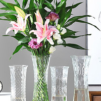 无与伦比 水养富贵竹玻璃花瓶透明百合花客厅插花摆件水竹子专用水培特大号
