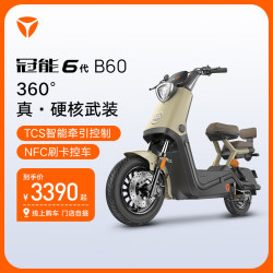 雅迪 冠能6代 B60 电动自行车