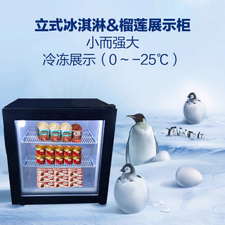 苏勒 冰激凌展示柜立式单门风冷直冷商用柜冰淇淋冷冻展示柜   黑色(55L) 