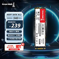 Great Wall 长城 512GB SSD固态硬盘 M.2接口SATA协议 读速540MB/S GW1000系列