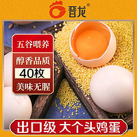 晋龙食品 新鲜鸡蛋40枚(约4斤左右)无抗生素无激素添加批发
