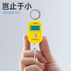 威衡 精准迷你手提电子秤高精度小型便携式吊秤弹簧秤家用钩称随身小秤