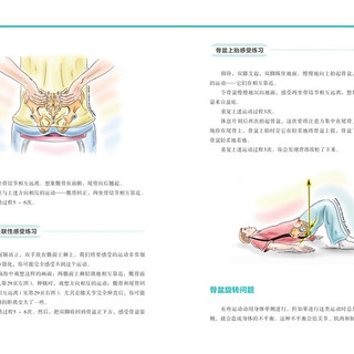 富兰克林盆底疗法：骨盆与盆底的解剖学认知及盆底康复训练