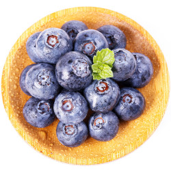 粤云山云南高山精品蓝莓优瑞卡l25型4盒1518mm顺丰空运