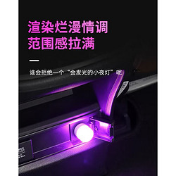 誼尼 車載LED燈 2個裝