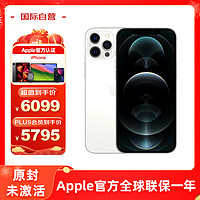 Apple 苹果 iPhone 12 pro max 银色 256G 全网通5G 智能手机 欧版 单卡 原封 未激活 原装配件 苹果认证翻新